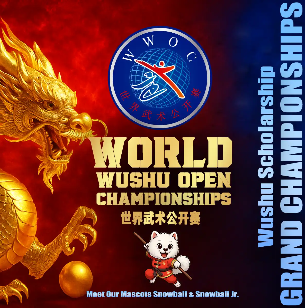 Banner competición WWOC 2026