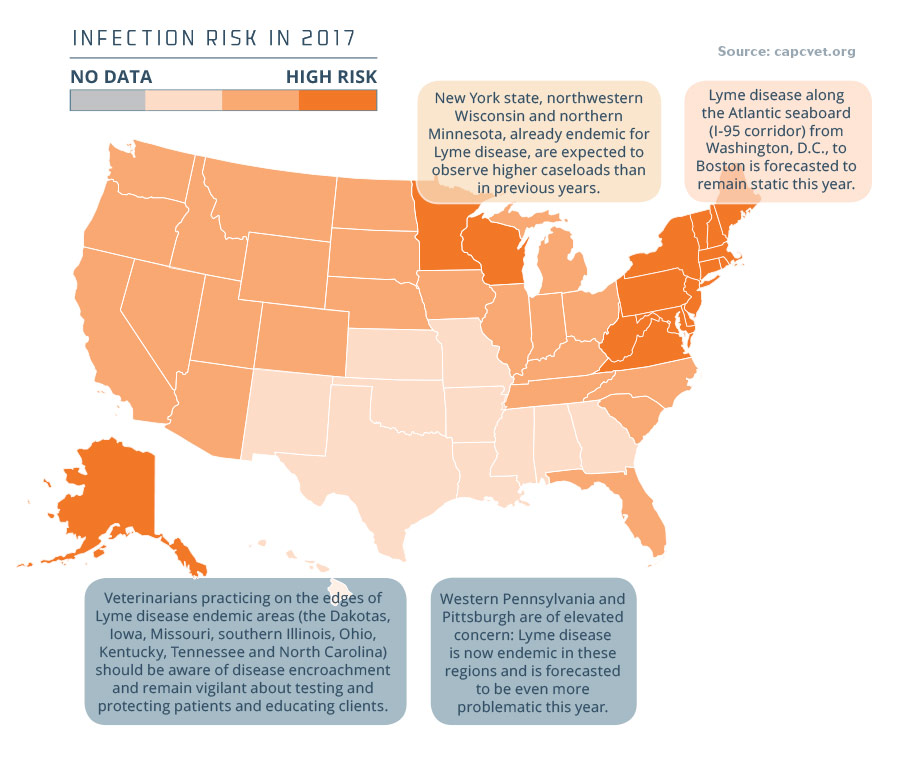 Mapping the risks Lyme disease DVM 360