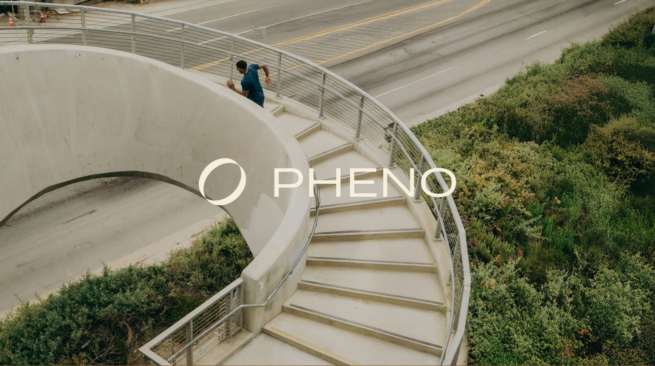 Pheno wellness brand visualization