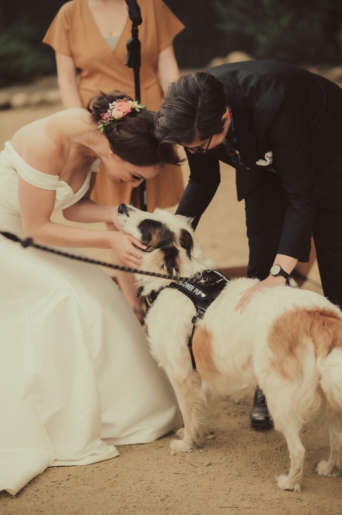 Topa Topa Brewing Company Wedding Ventura, Ventura Wedding Photographer, James Lester Photography