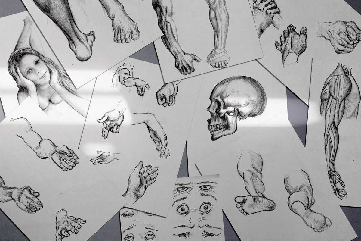 Sammlung anatomischer Bleistiftstudien mit Händen, Füßen, Schädel, Augen und Armen