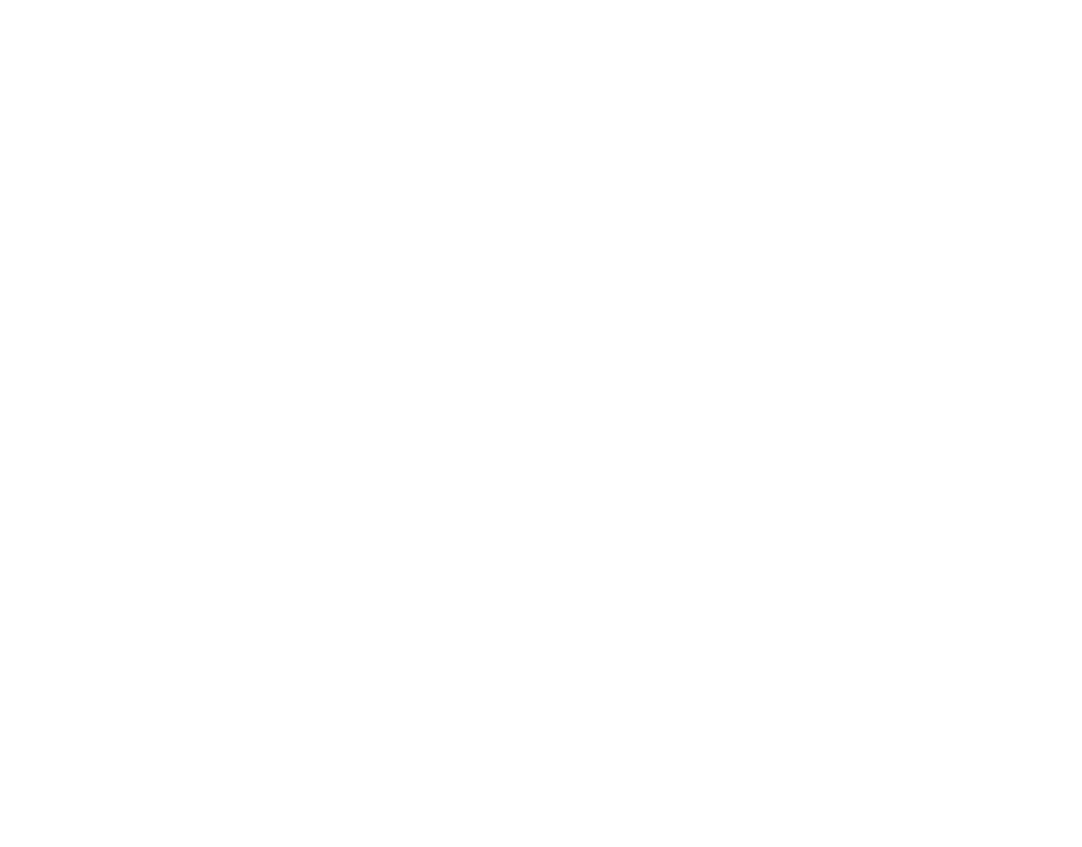 Webflow Websites