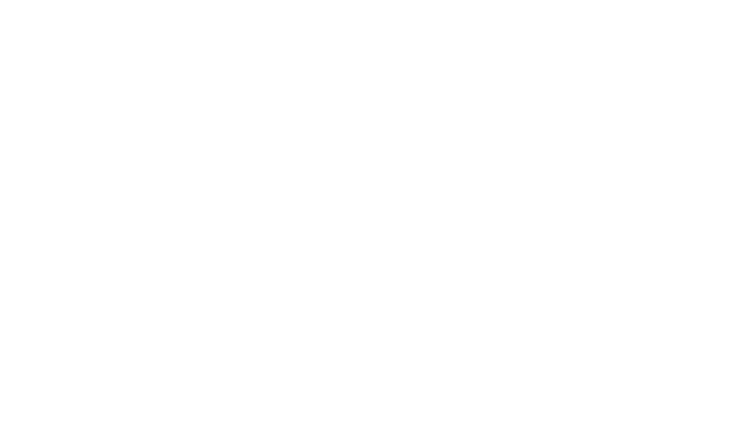Shopify websites