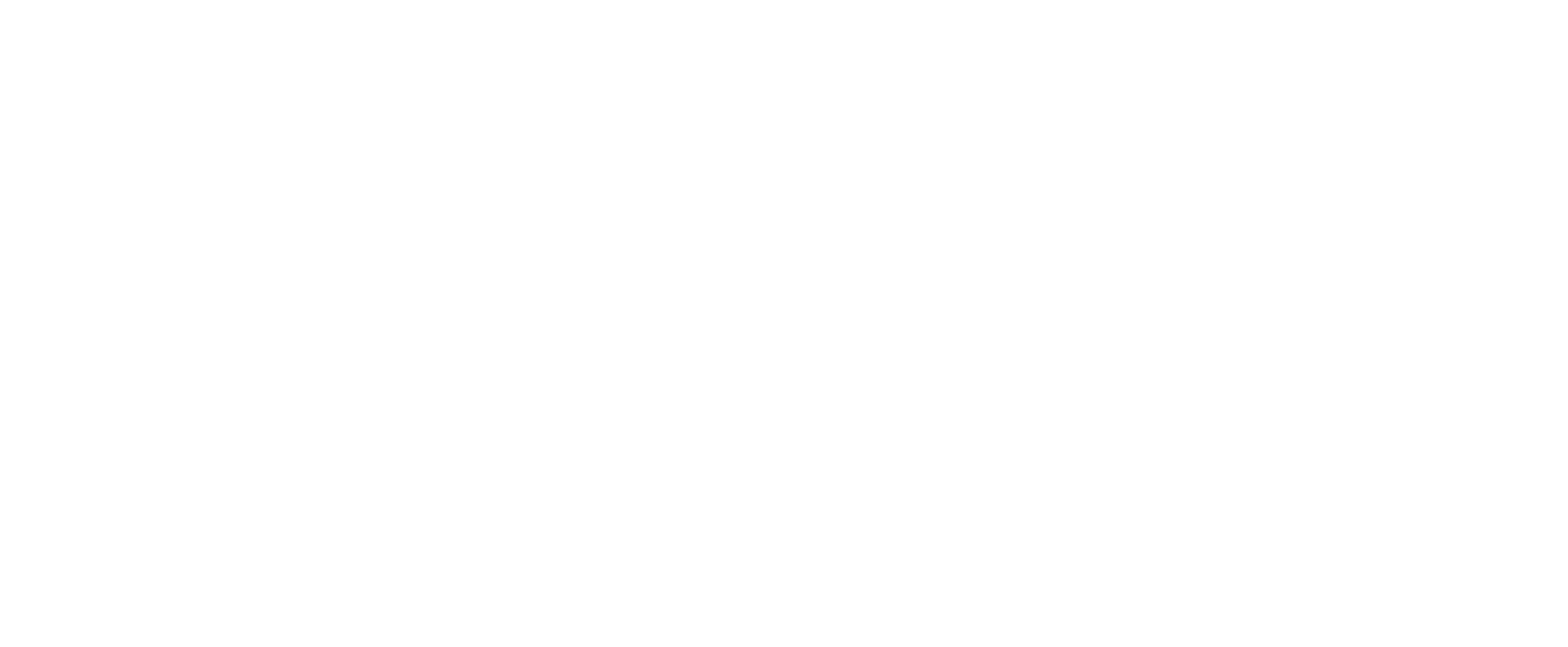 Control Terrestre