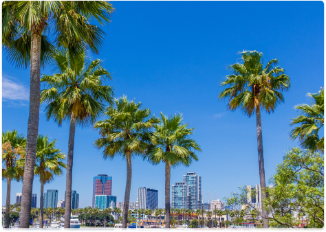 california jobs - 919USA