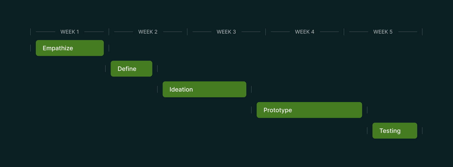 process / timeline of this project