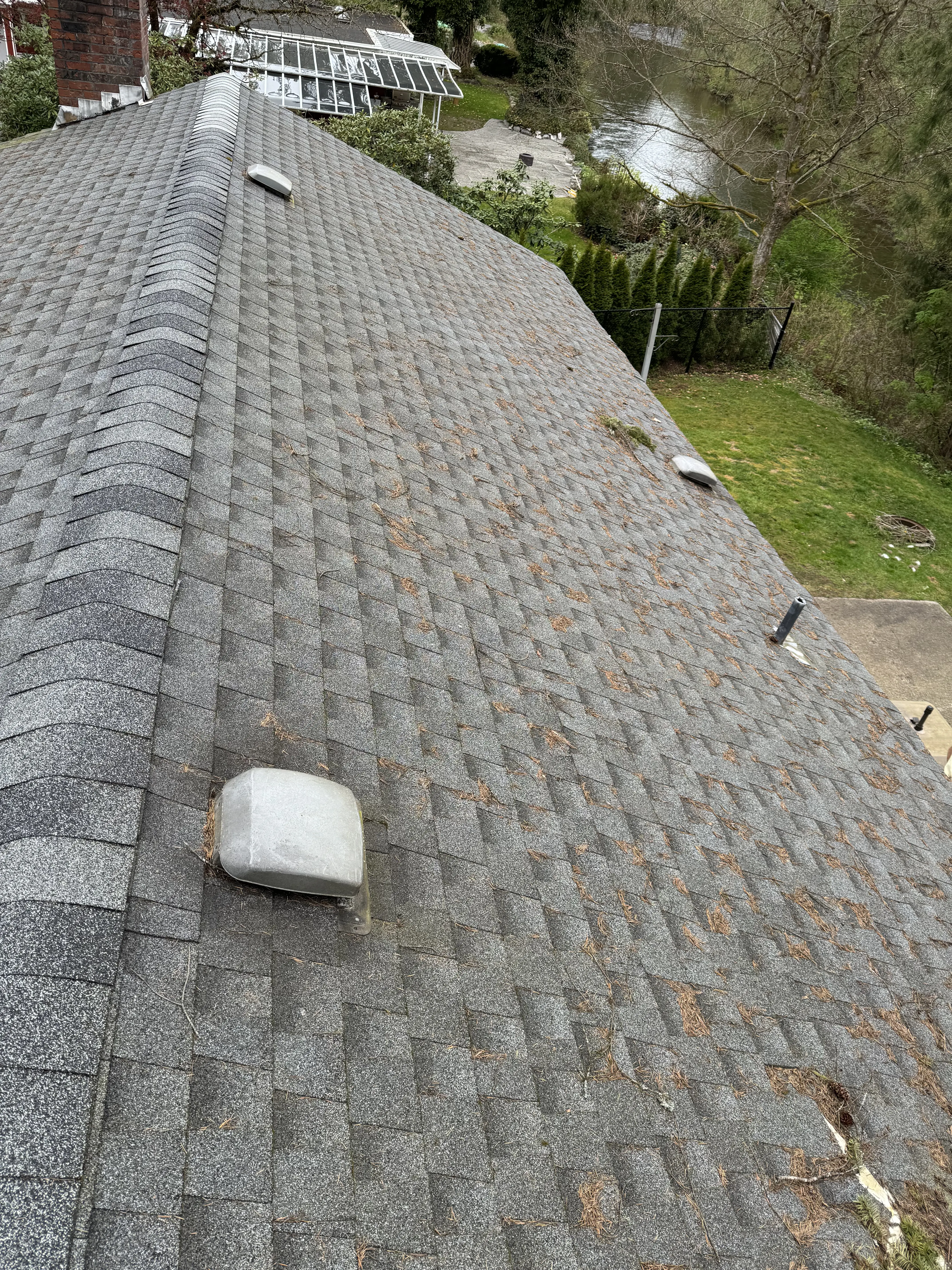 Before - Roof cleaning transformation showing removal of moss, algae, and debris for improved appearance and longevity