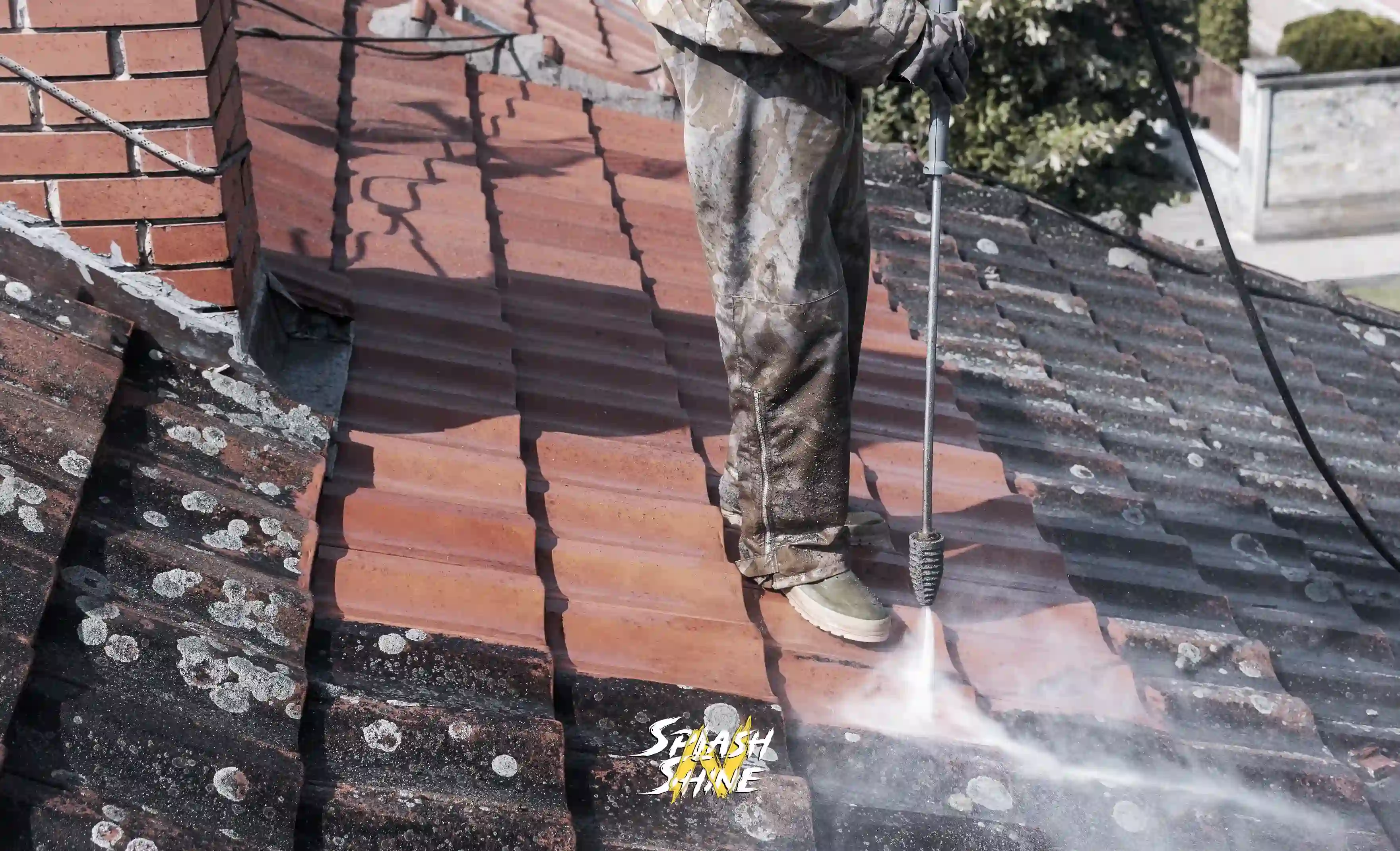 Roof Cleaning service