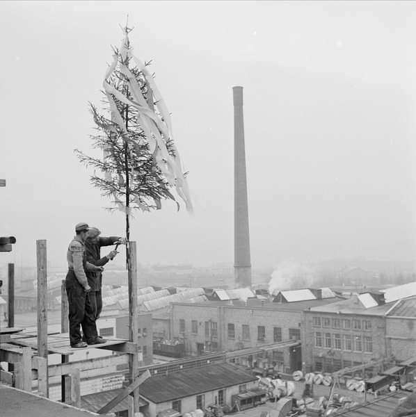 Taket på Standard telefon- og kabelfabrikk ble ferdig i 1959, her markert med et pyntet tre. Etter at treet var satt opp skulle byggherren holde fest for arbeiderne.