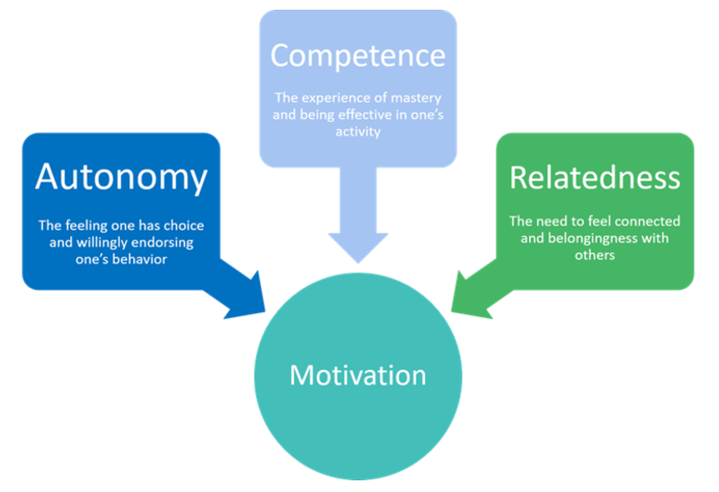 Self-Determination Theory Diagram