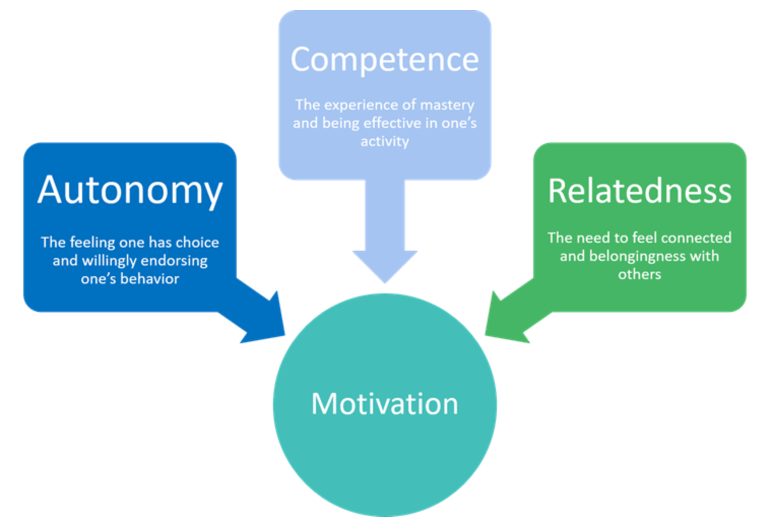 Self-Determination Theory Diagram