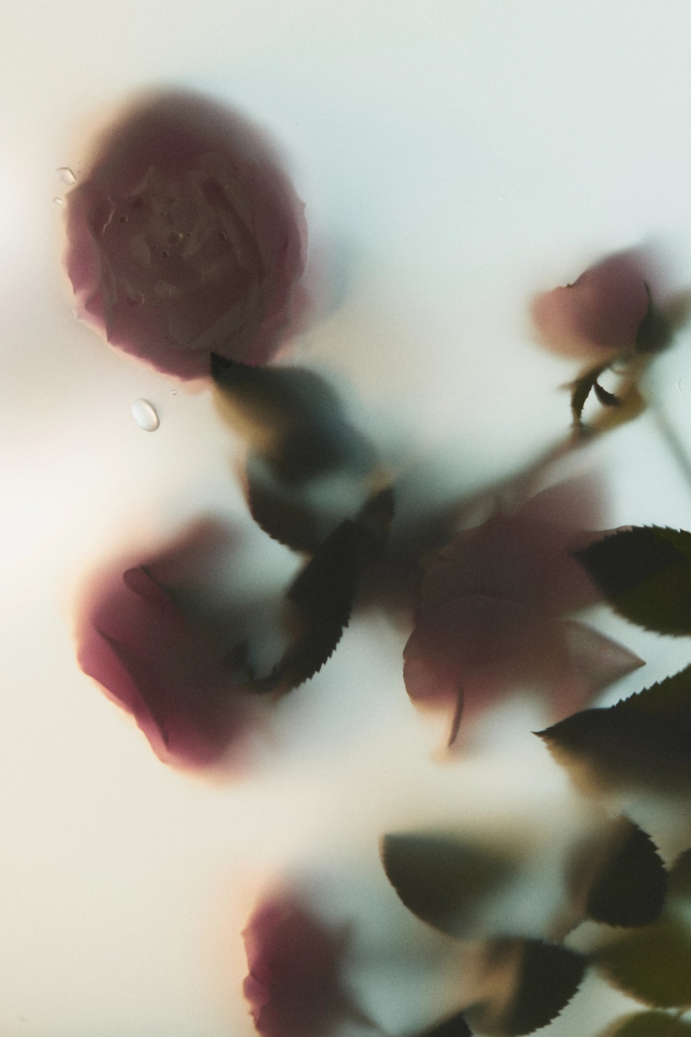 Anti Parfum detail 11