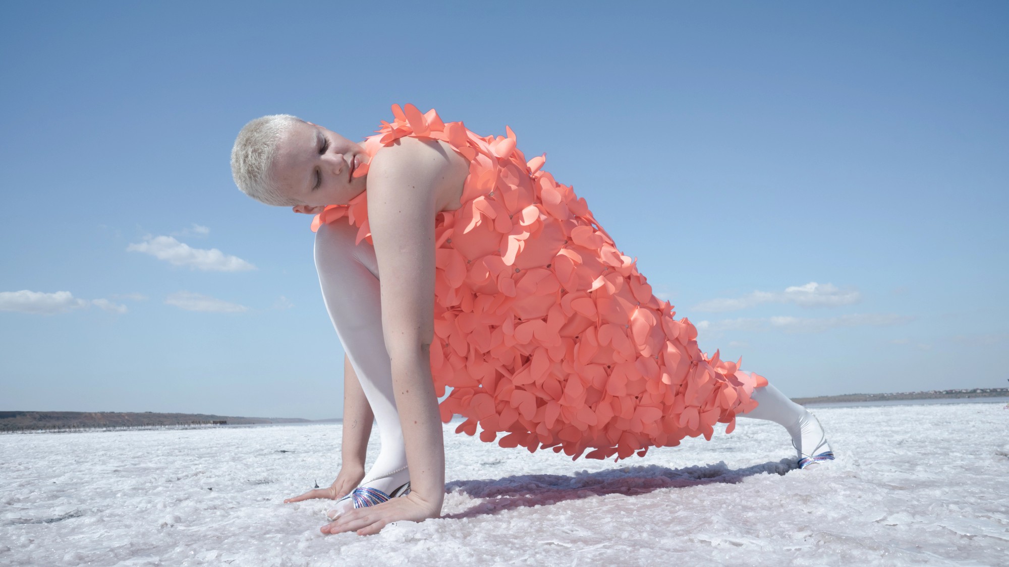 FRENCH FRIES MAGAZINE