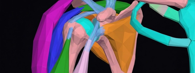 Shoulder X-Ray: Anatomy, Procedure & What to Expect