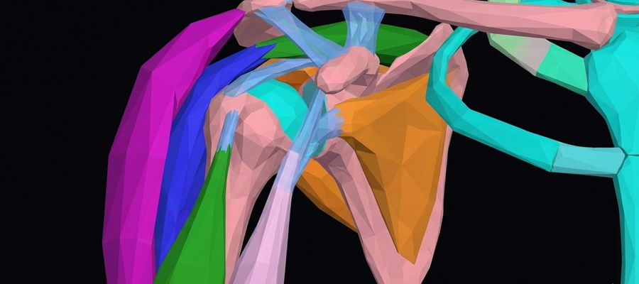 Shoulder X-Ray: Anatomy, Procedure & What to Expect