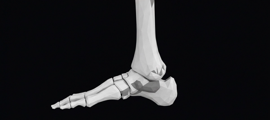 X-Ray of the Ankle: How It Identifies Sprains, Fractures, and Joint Issues