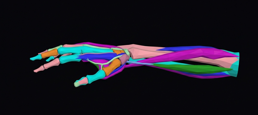 X-Ray of the Hand: Detecting Fractures, Arthritis, and Bone Abnormalities