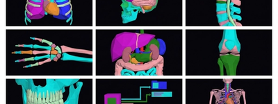 X-Ray Types of Fractures: Complete, Hairline, Stress, and Compound Explained