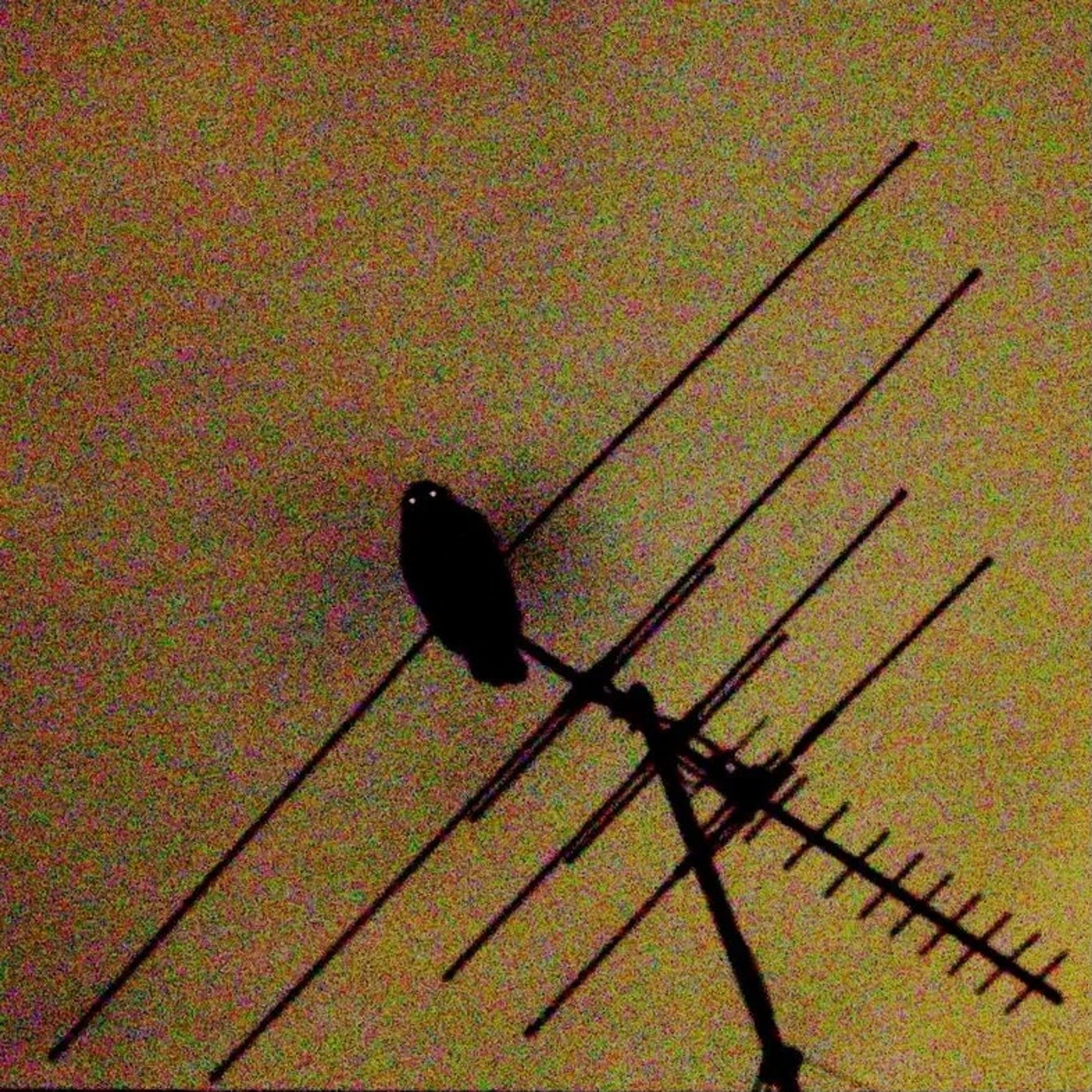 mixtape, Artwork, Conceptual, Yesterday, Come Closer, Photo, Rare, Soundcloud, Palestine, YCC, YCCS, Mix, Liberation