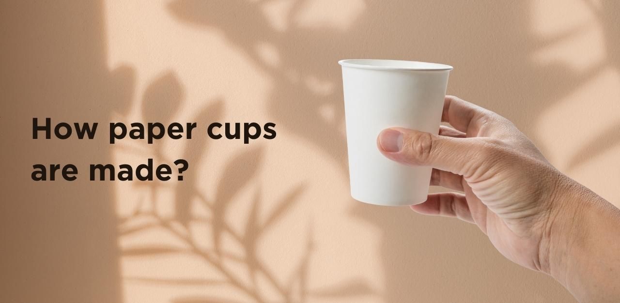How Paper Cups are Made?