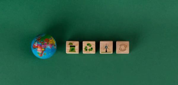 Sustainable Portfolio