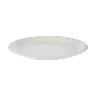Bio-Degradable Plate 10" Plain