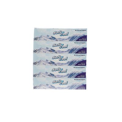 Soft n Cool- Facial Tissue 100x2ply 5x6