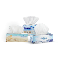 Facial Tissue