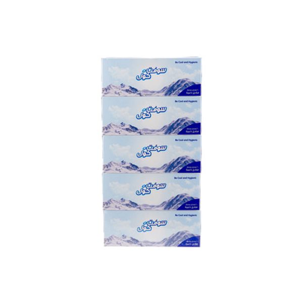 Soft n Cool- Facial Tissue 200x2ply 5x6