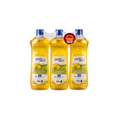 Dishwash Liquid 750Ml