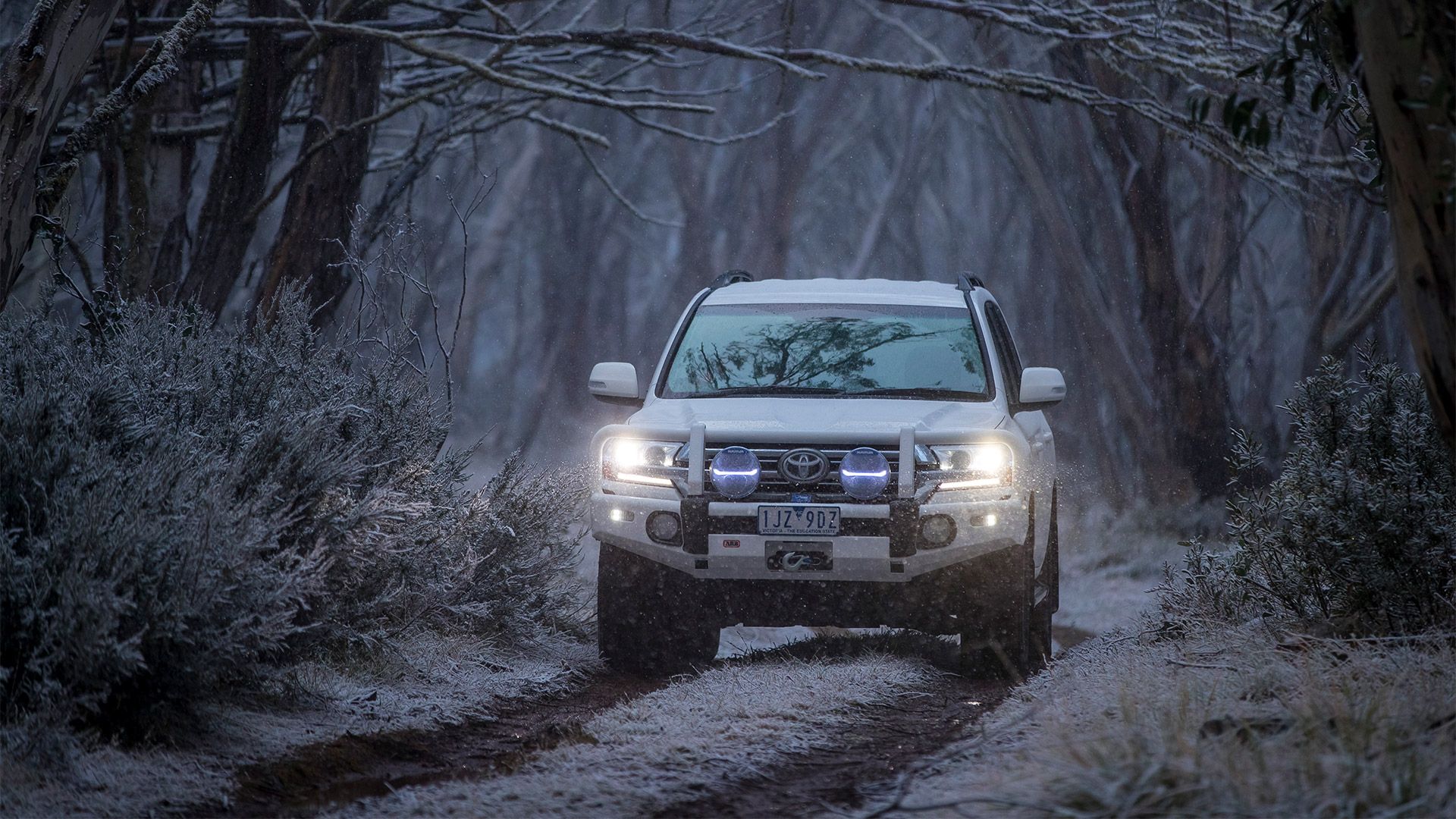 5 top tips for driving in the snow