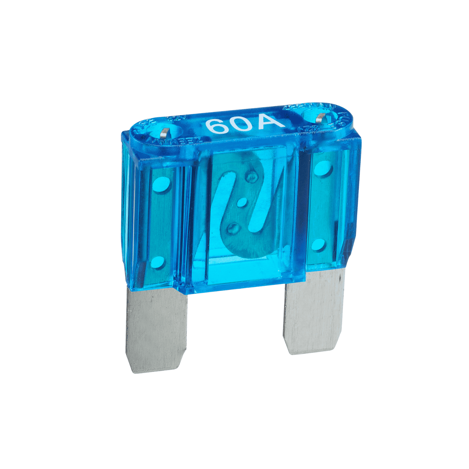 Fuses & Circuit Protection