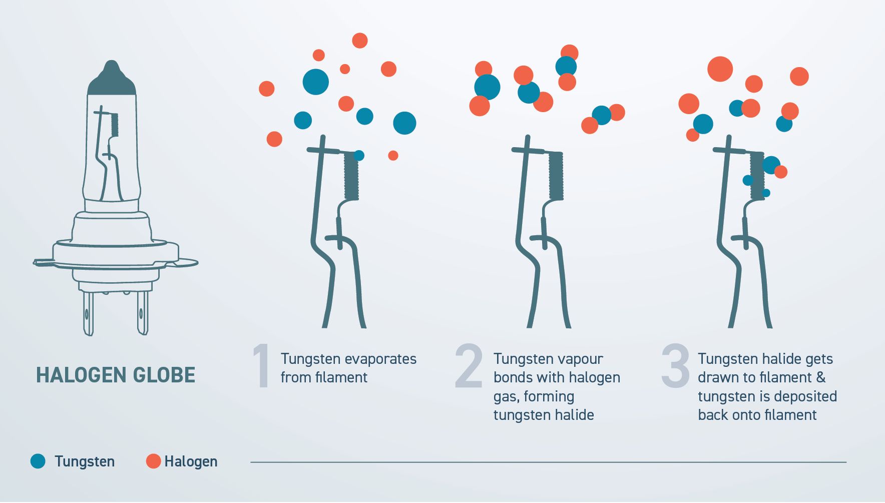 How do halogen globes work?