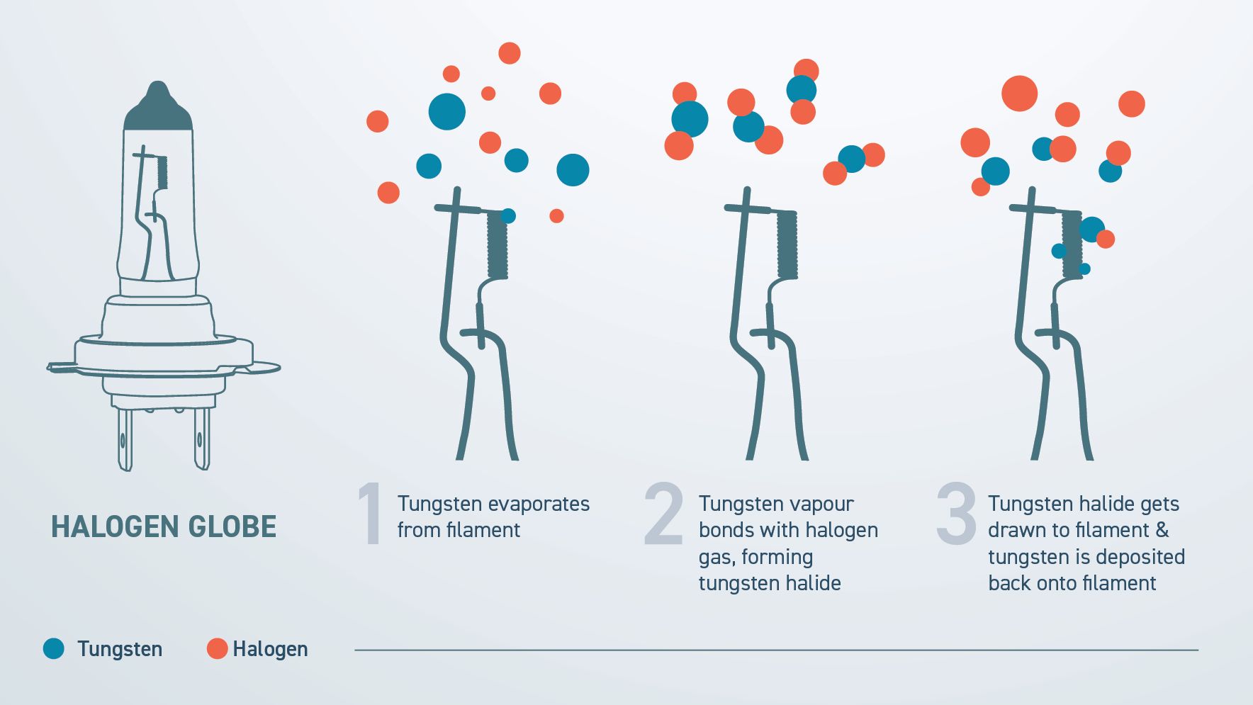 How do halogen globes work?