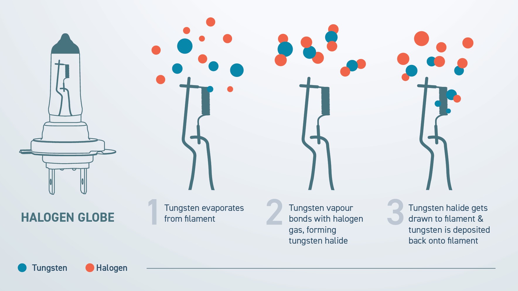 How do halogen globes work?