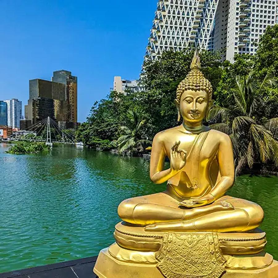 Sri Lanka al Completo