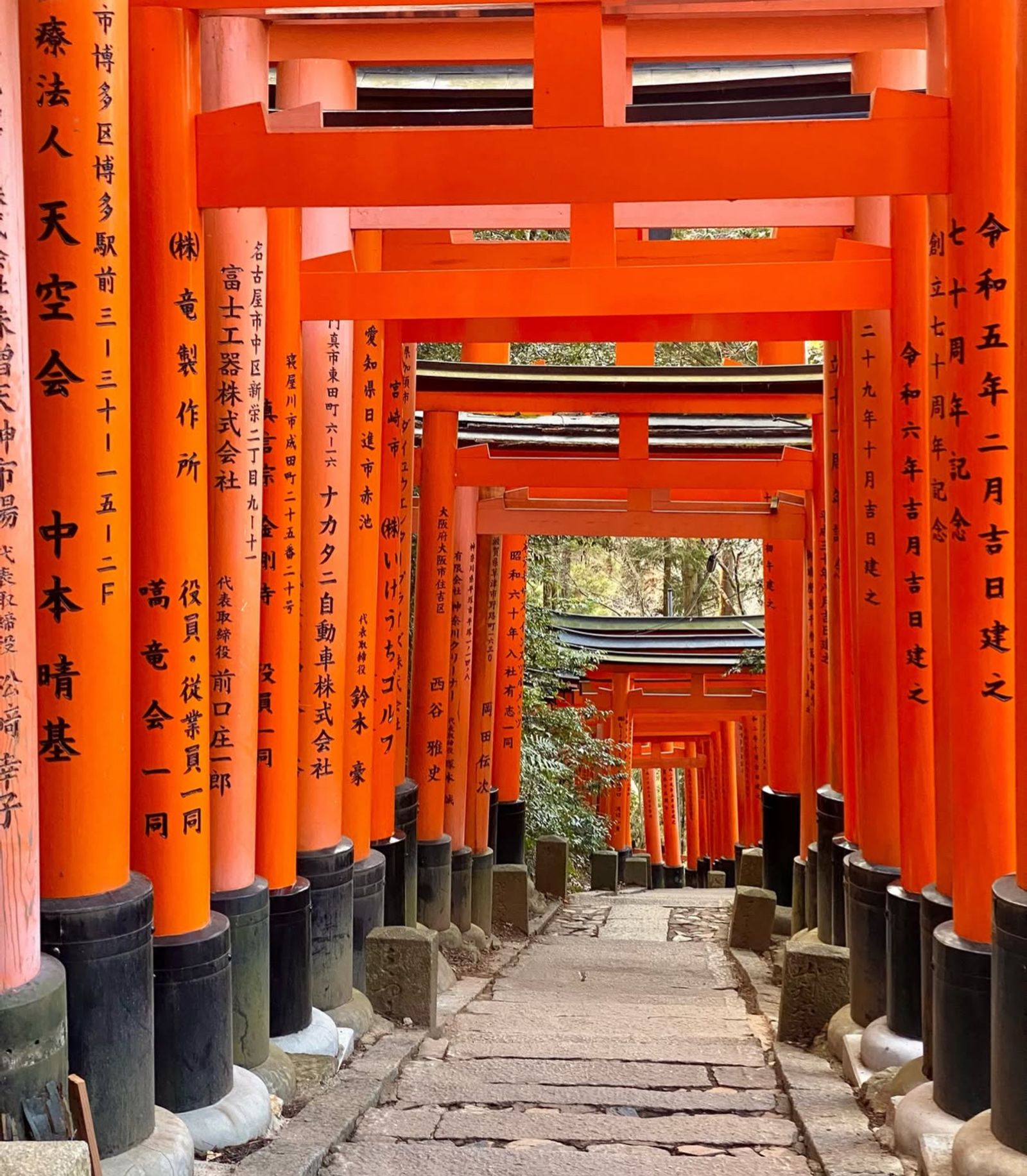 Japón 