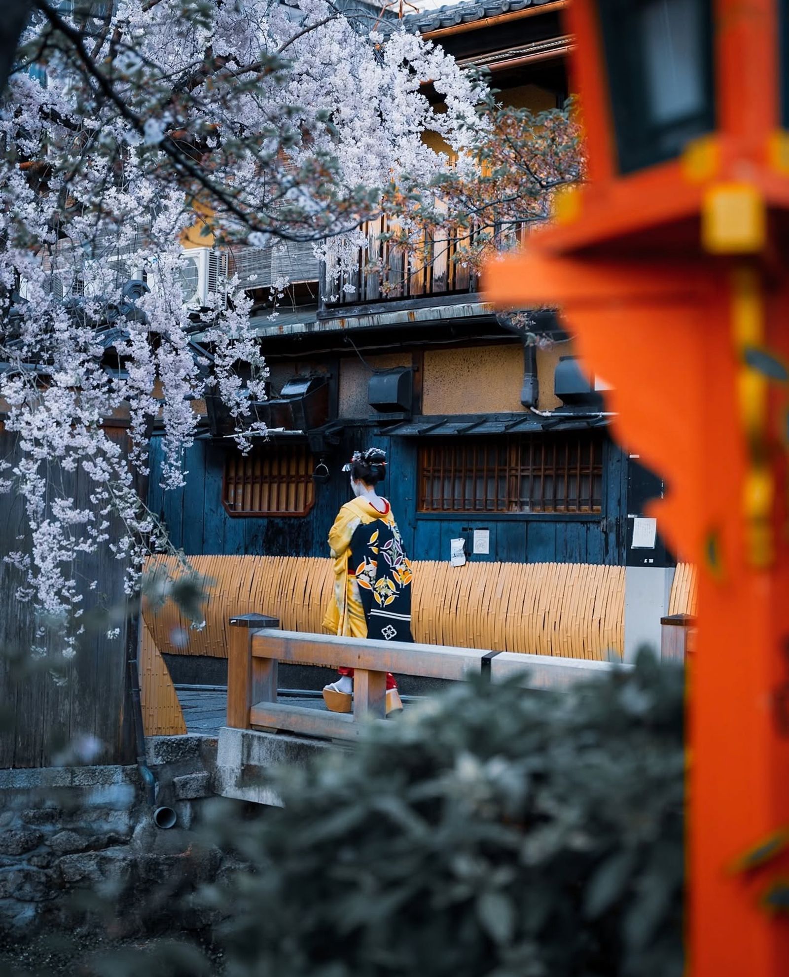 Japón 