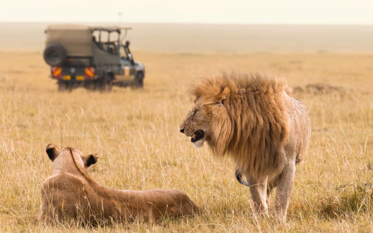Safari en Tanzania - Zawadi