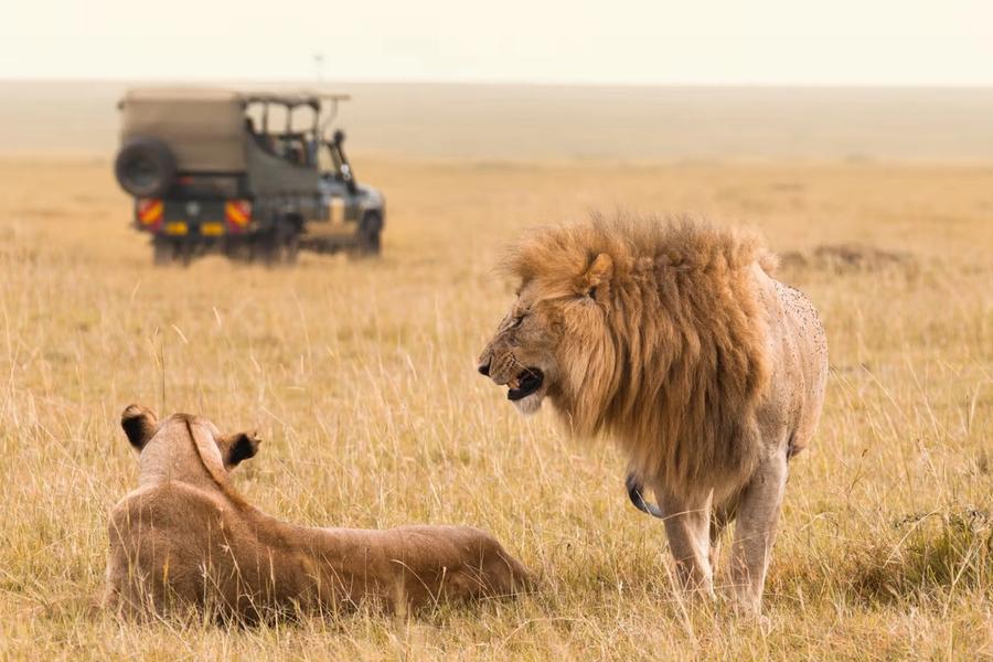 Safari en Tanzania - Zawadi