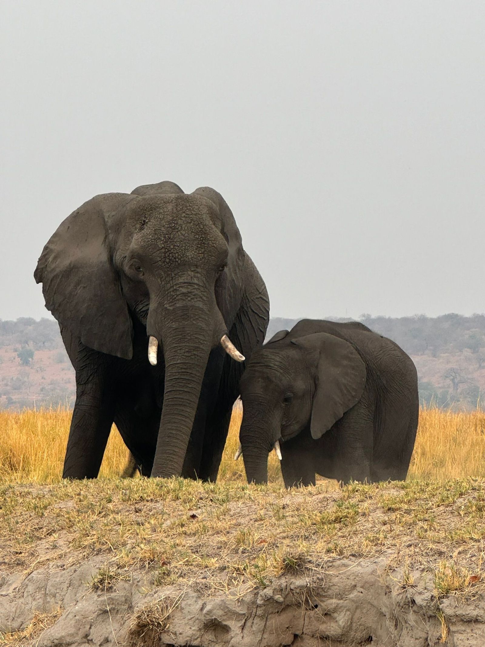 Sudáfrica-Botsuana-Namibia 