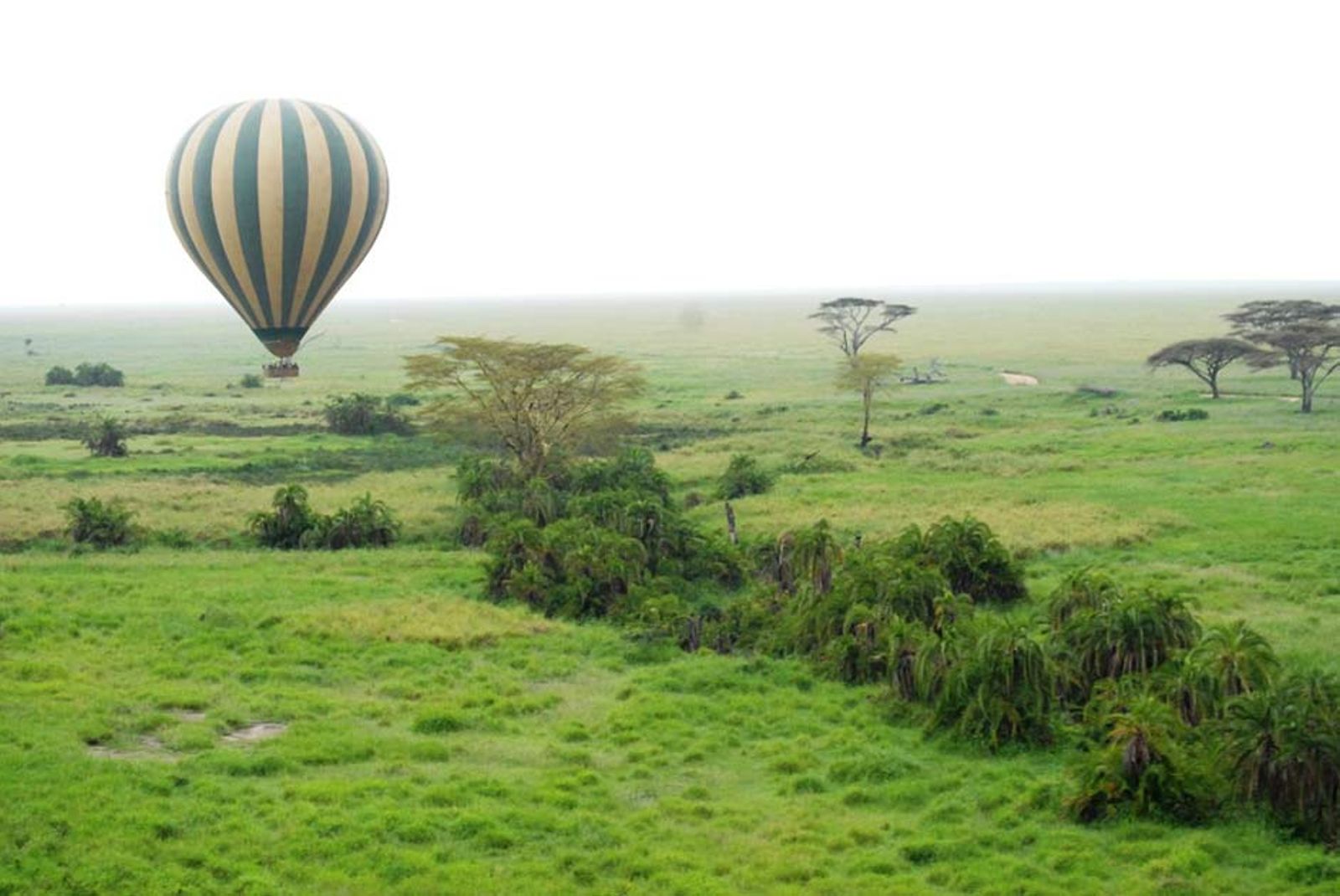 Tanzania