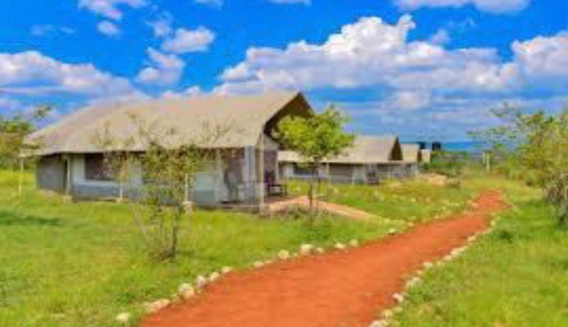 Safari por Kenia