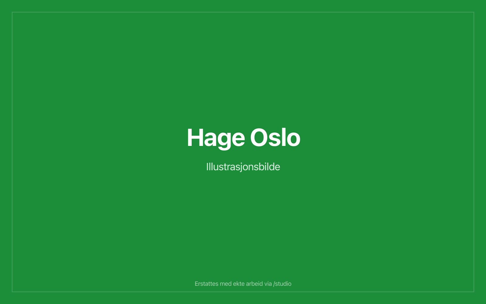 Steinsetting og platting i Oslo — illustrasjonsbilde