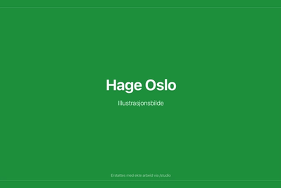 Steinsetting og platting i Oslo — illustrasjonsbilde