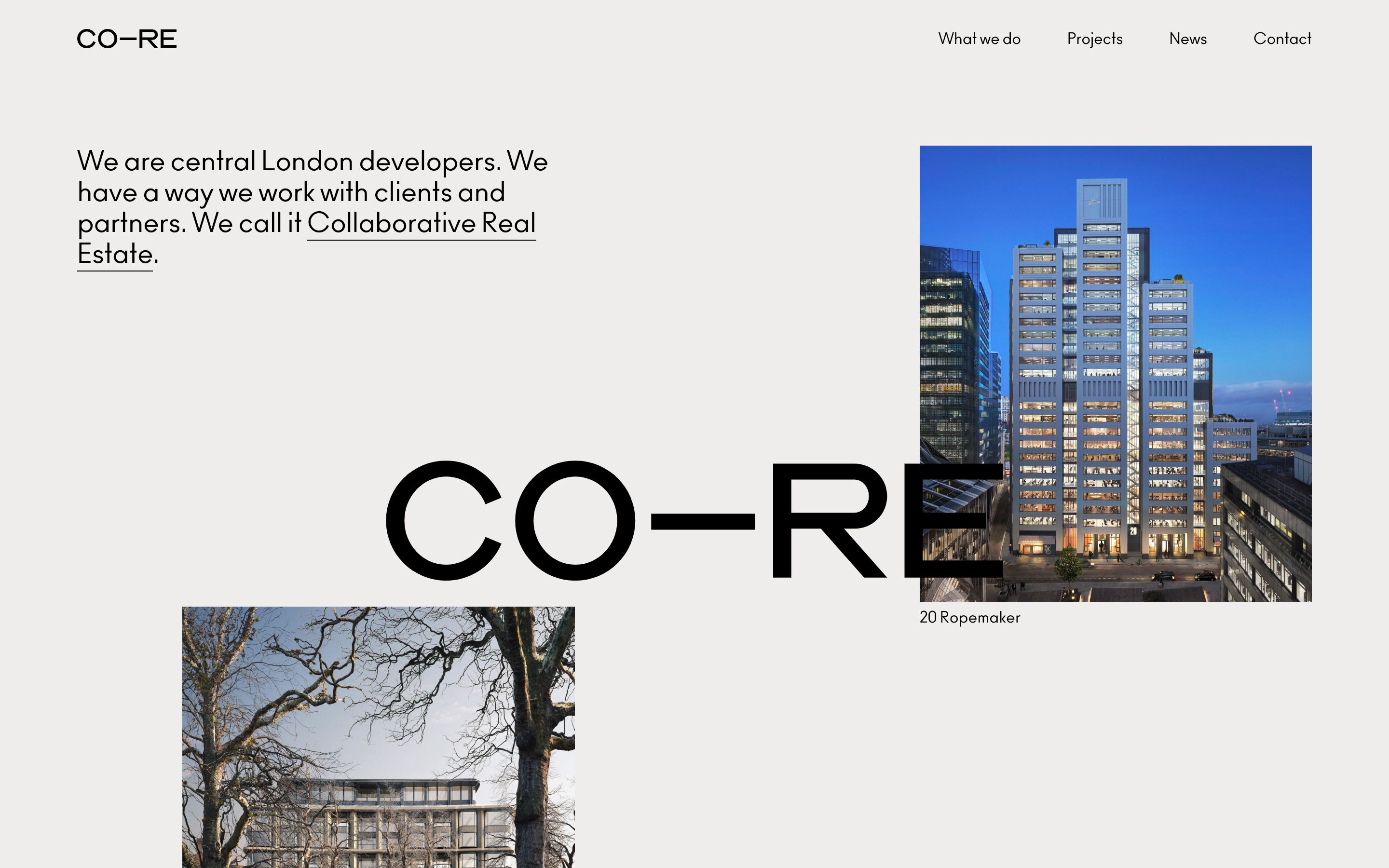 Sample image from CO—RE project