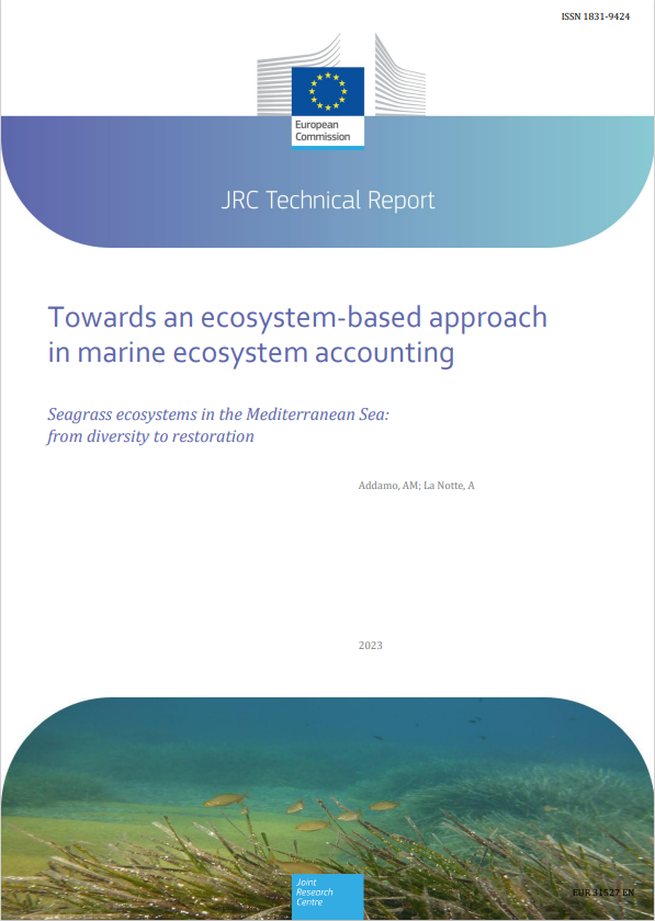 JRC technical report front page