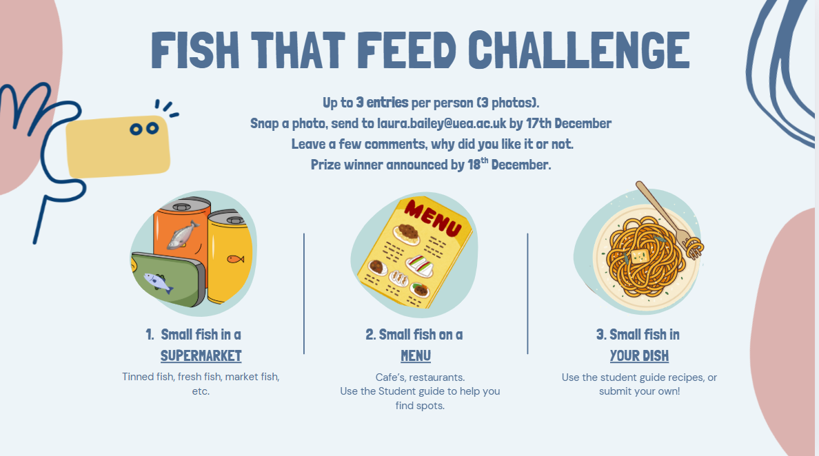 fish that feed challenge