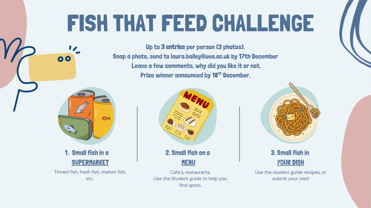 fish that feed challenge