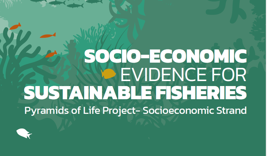 Socio-economic report